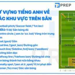 sân bóng đá tiếng anh là gì