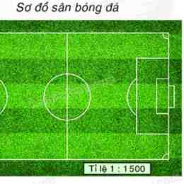 tạo sơ đồ bóng đá sân 7
