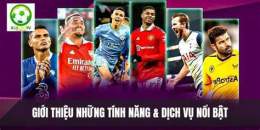 tính năng nổi bật 24h bong đa