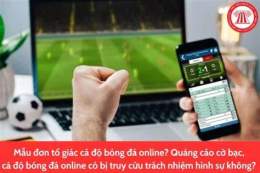 tính năng nổi bật app cá độ đá bóng