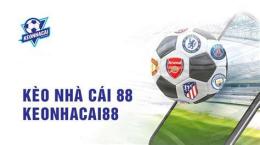 tính năng nổi bật bóng đá 88 kèo nhà cái