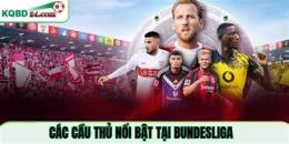 tính năng nổi bật bóng đá kết quả bundesliga