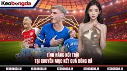 tính năng nổi bật bóng đá wap kết quả
