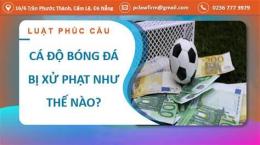 tính năng nổi bật cá độ bóng đá bị phạt như thế nào