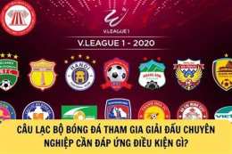 tính năng nổi bật câu lạc bộ bóng đá elimai