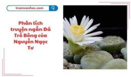 tính năng nổi bật đá trổ bông