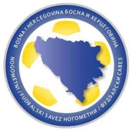 tính năng nổi bật đội tuyển bóng đá quốc gia bosna và hercegovina