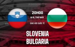 tính năng nổi bật đội tuyển bóng đá quốc gia slovenia