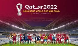 tính năng nổi bật giải bóng đá qatar stars