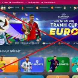 trang cá độ đá bóng
