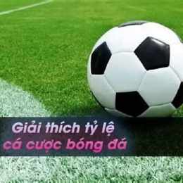 ty le ca cuoc bong da truc tuyen