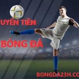 ty le ca do bong da