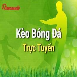 tyle bong da