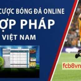 web ca do bong da